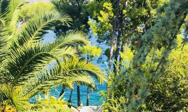 panorama-scouting-H2444-17