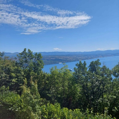 panorama-scouting-H2645_15