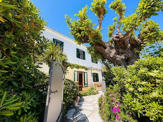 panorama-scouting-H3430-12