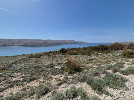 panorama-scouting-G465-2