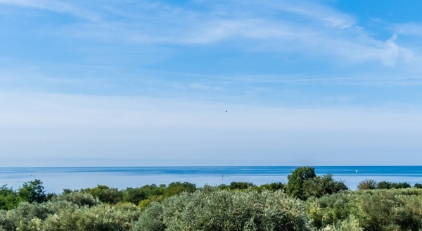 panorama-scouting-A3869-7