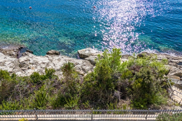 panorama-scouting-H3848-3