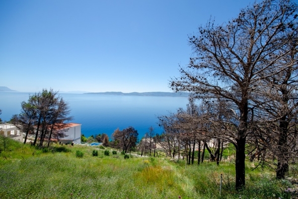 panorama-scouting-G491-1
