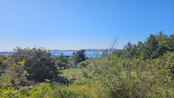 panorama-scouting-G493-5