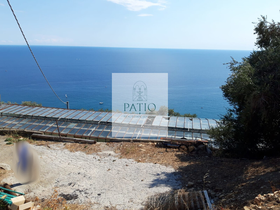 IMG-20180816-WA0002_1