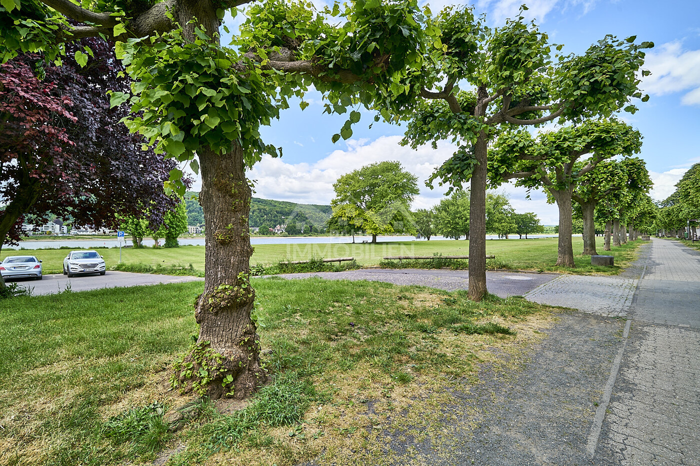 Rheinanlagen
