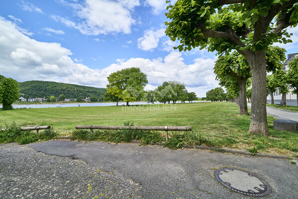 Rheinblick
