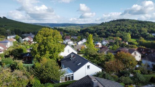 Luftaufnahme Weinberge