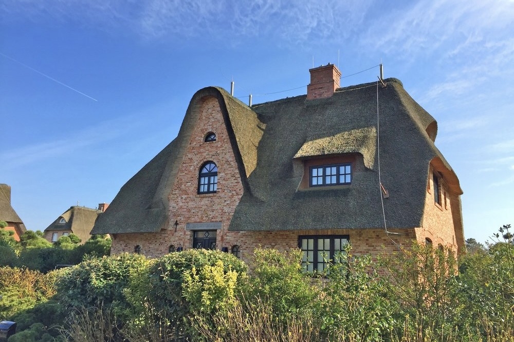 PLATZHALTER