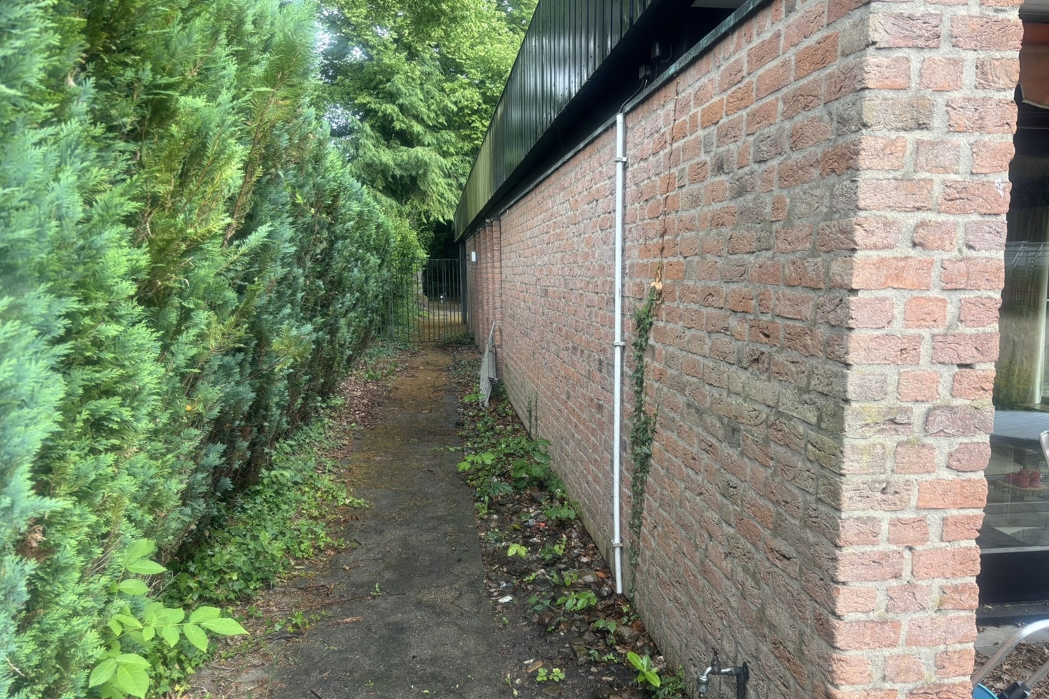 PLATZHALTER