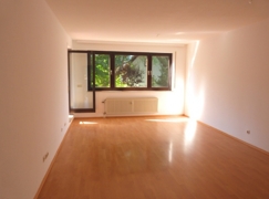 Großes Wohn- und Esszimmer