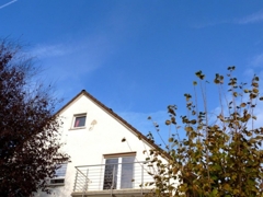 Blick vom Garten zum Haus