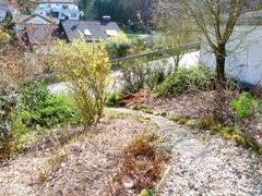 Pflegeleichter Garten