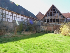 Eine grüne Insel zum Entspannen