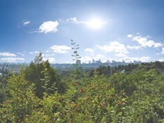 Wunderbarer, unverbaubarer Ausblick