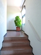 Gepflegtes Treppenhaus