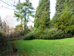 Grün hinter dem Haus