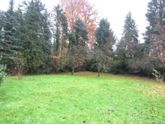 Uneinsehbare Grünfläche 