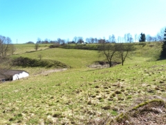 Große Weideflächen