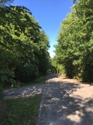 Allee zum Anwesen