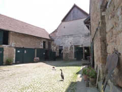 Munteres Getümmel...