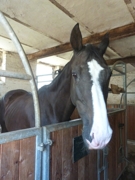 Auf Wiedersehen in Bisterschied....