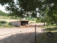 Paddock mit Unterstand