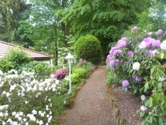 Es grünt so grün...