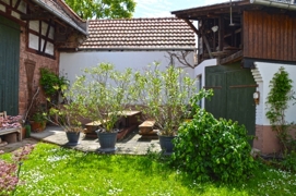 Essen - Trinken - Genießen