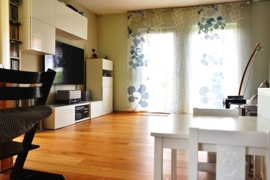 Helles, lichtdurchflutetes Wohn-/Esszimmer