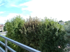 Blick von der Loggia