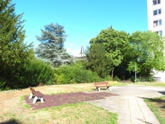 Grünfläche am Haus