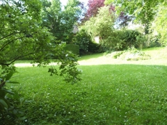 Grünfläche hinter dem Haus