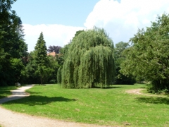 Kleiner Park in der Nähe