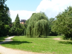 Park in der Nähe