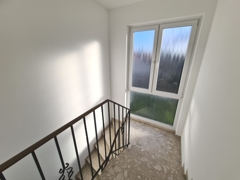 Gepflegtes Treppenhaus