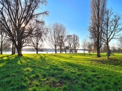 An der Rheinpromenade