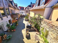 Blick von der Terrasse