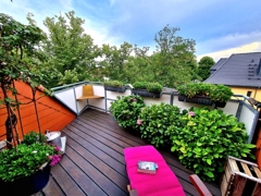 Über den Dächern...