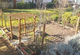 Kleiner Gartenanteil 