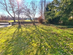 Es grünt so grün...