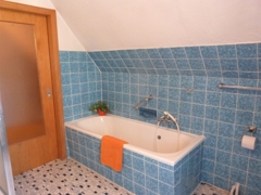 Großes Tageslichtbad DG