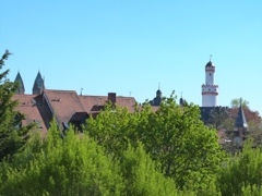 Das Schloss Bad Homburg  ganz in der Nähe...