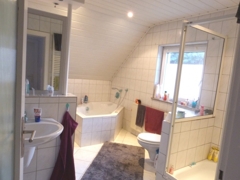 Schickes Tageslichtbad