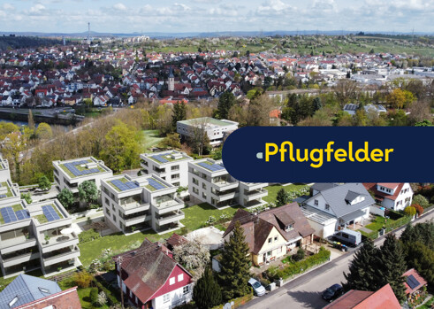 Gämsenberg |  Image Name  -  Image Alt 