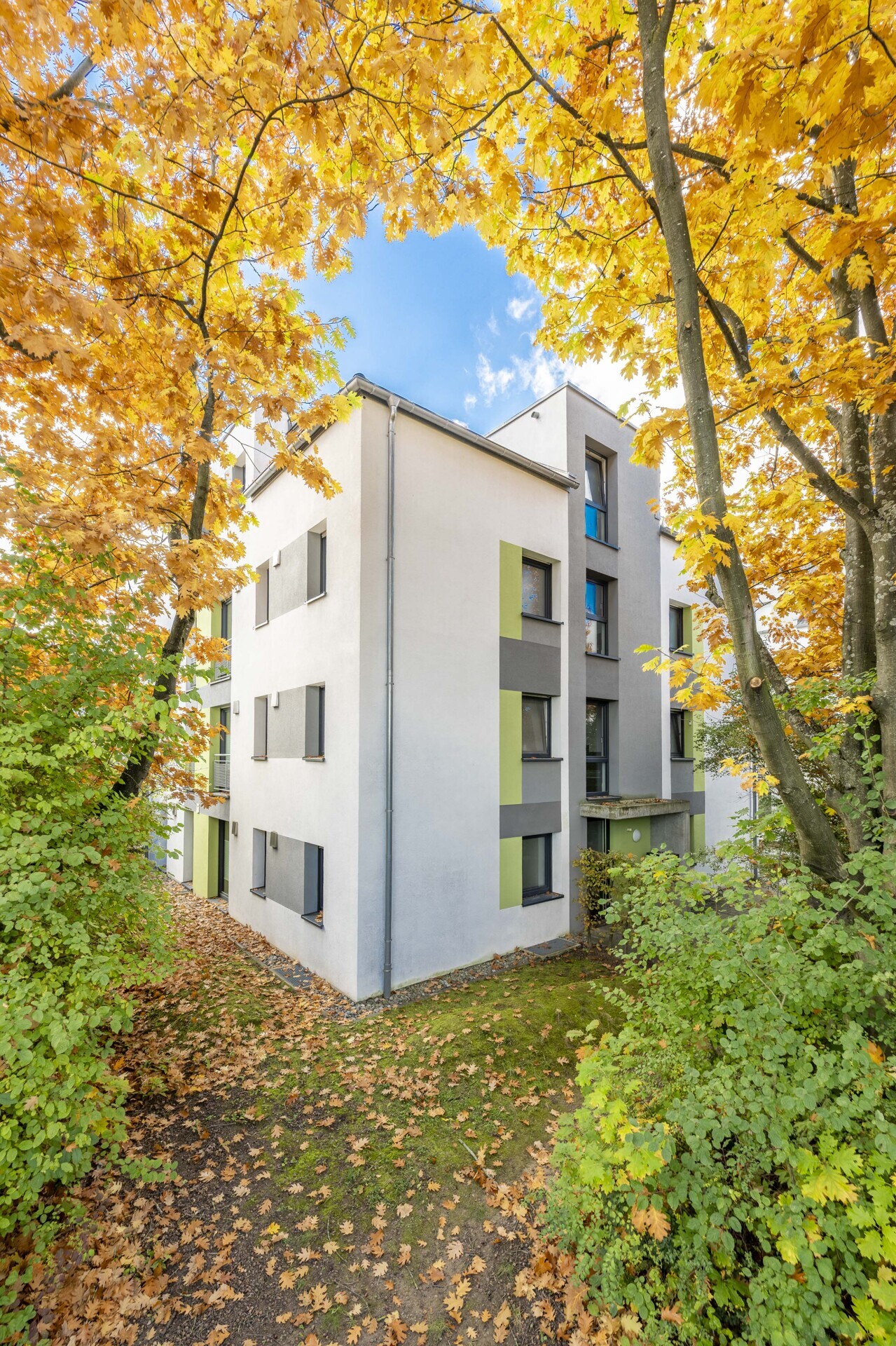 Estate Picture