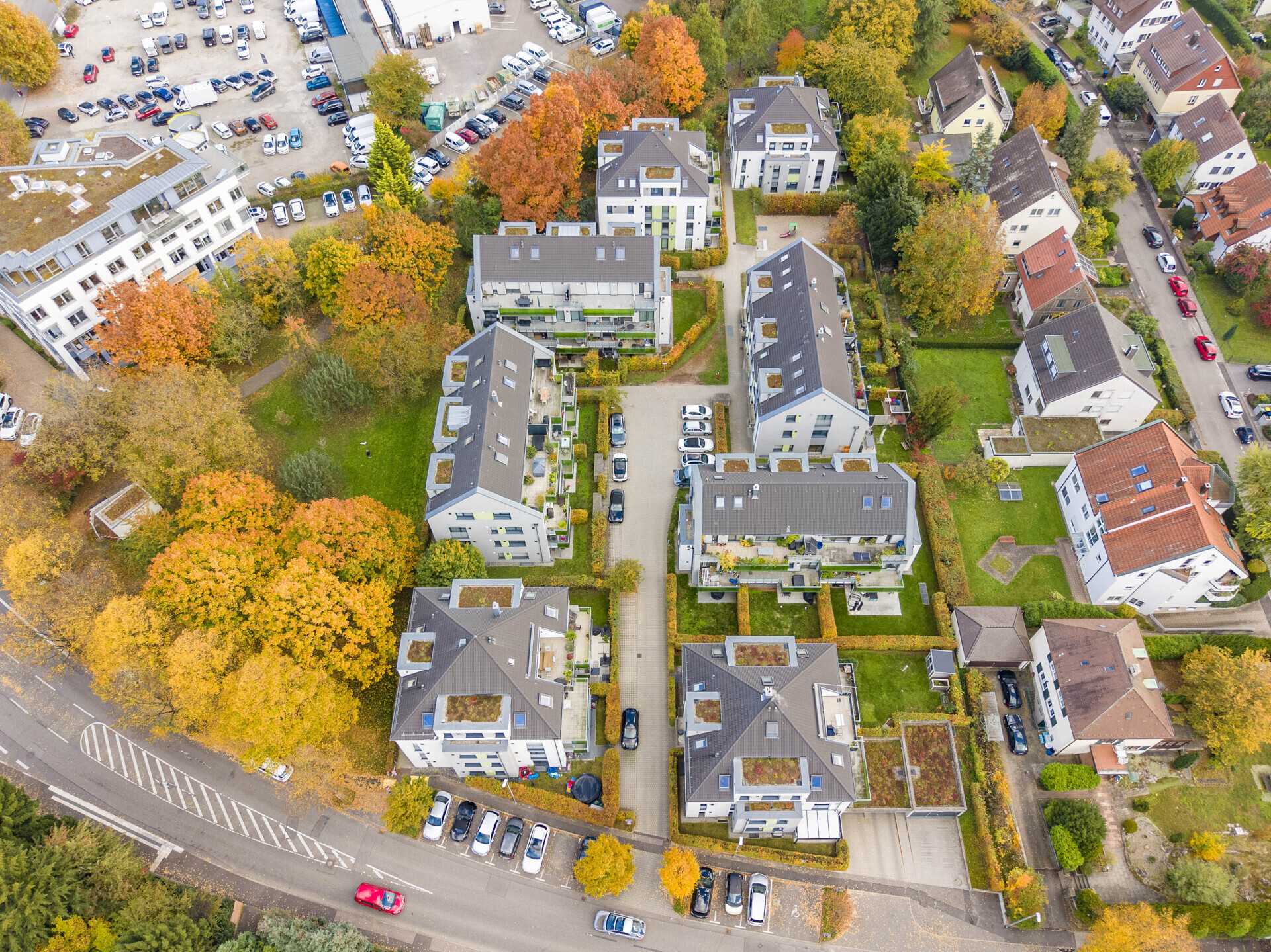 Estate Picture