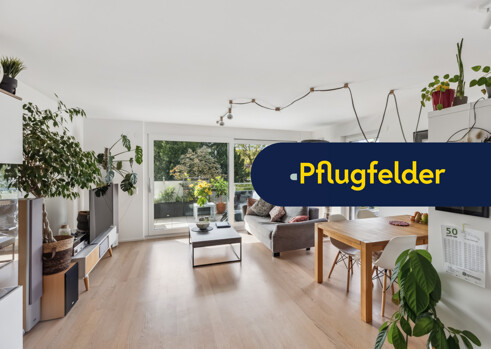 Immobilienportal |  Image Name  -  Image Alt 