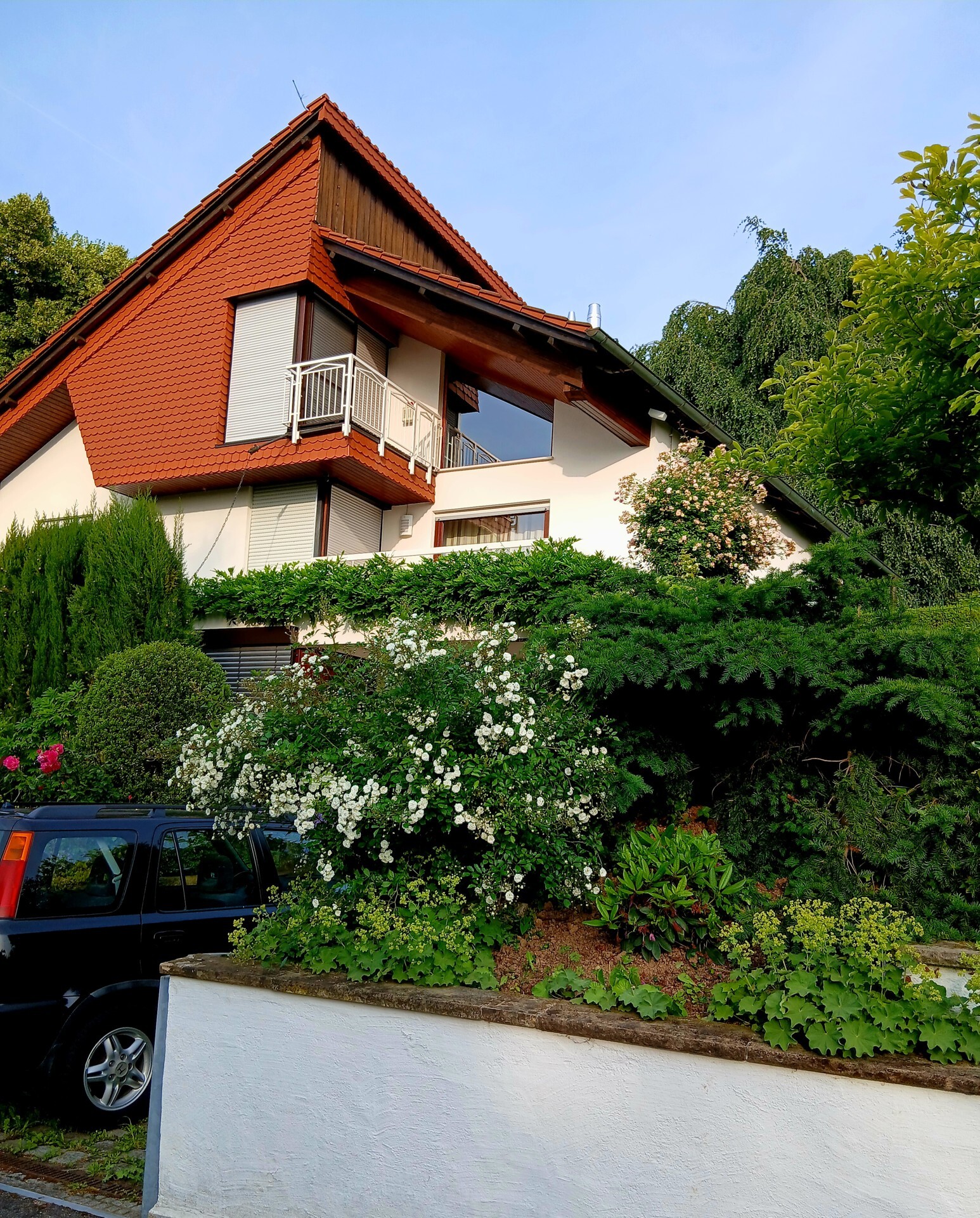 Estate Picture