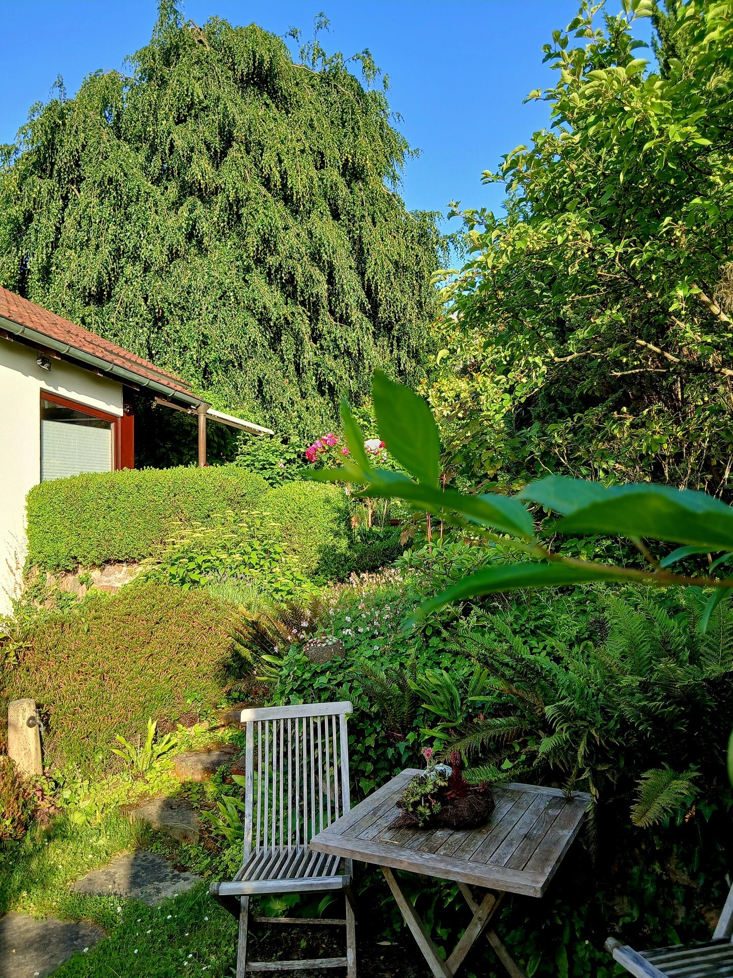 Estate Picture